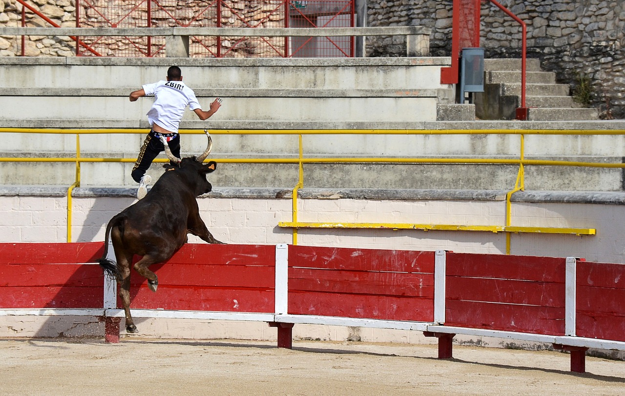 是习近平指