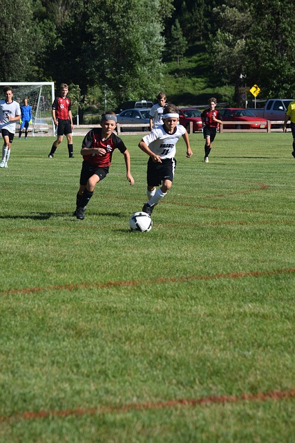 效表现的缩 效表现的缩