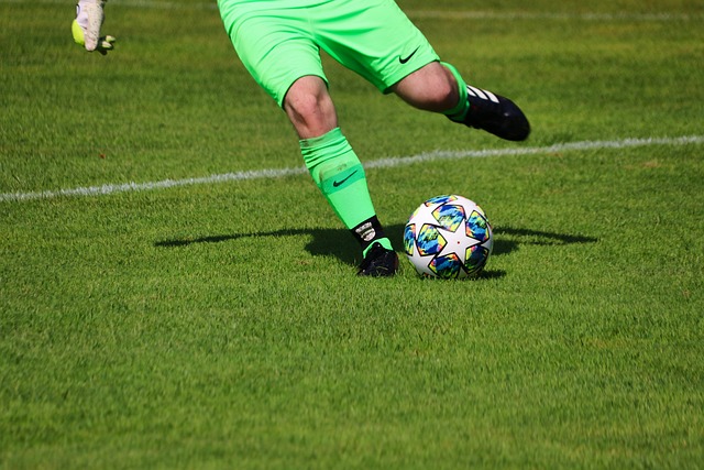 球爱好者的 球爱好者的