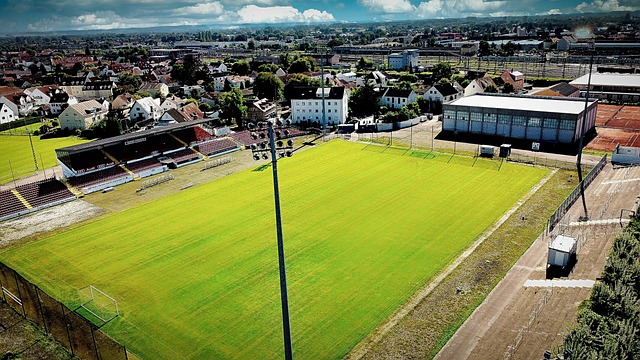 往往能够给 往往能够给