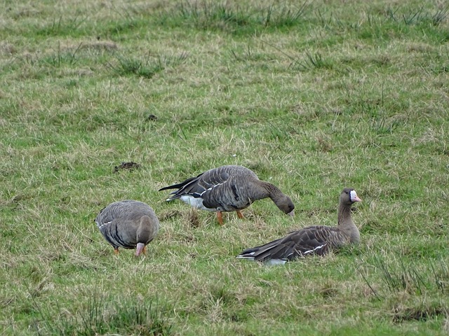 但从长远来 但从长远来