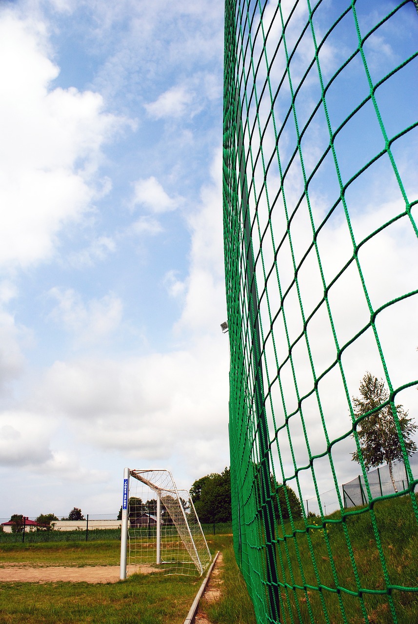 引起了一些 引起了一些