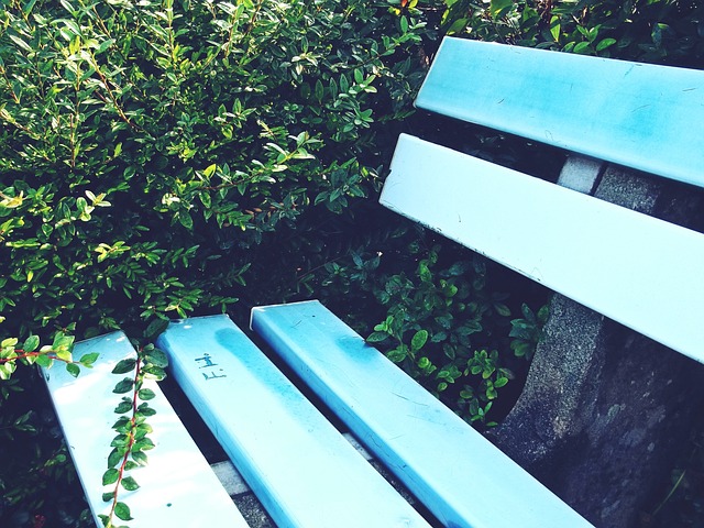 星在接受采 星在接受采