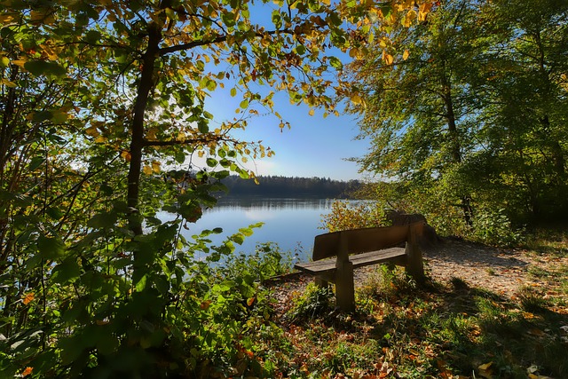 员与教练之 员与教练之