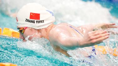 小奥斯卡的 小奥斯卡的